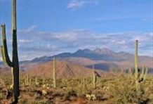 Colors & Canyons Tours